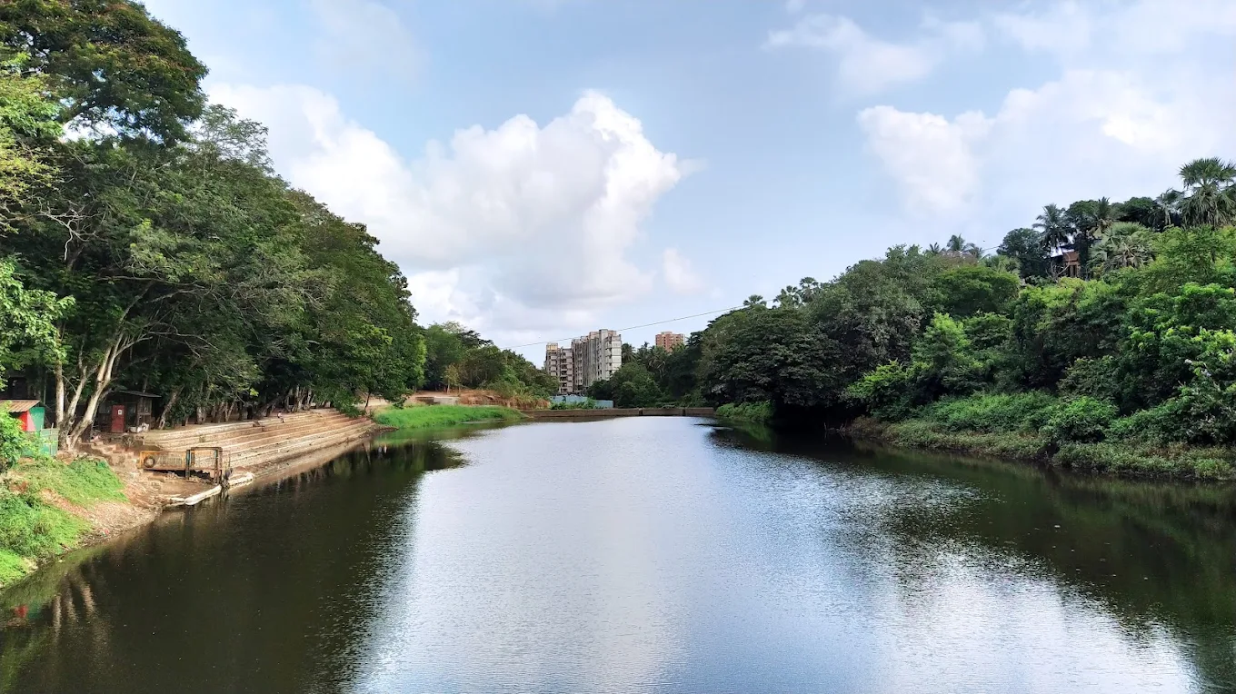 Kanheri Caves & National Park Private Tour