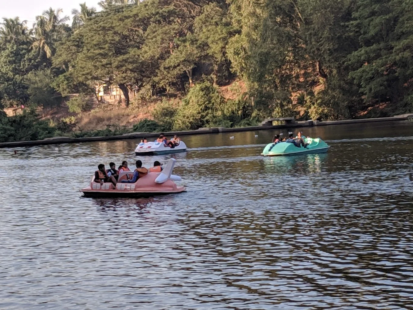 Kanheri Caves & National Park Private Tour